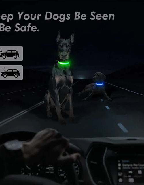 Load image into Gallery viewer, LED Adjustable Dog Collar Blinking Flashing Light Up Glow Pets Safety Waterproof
