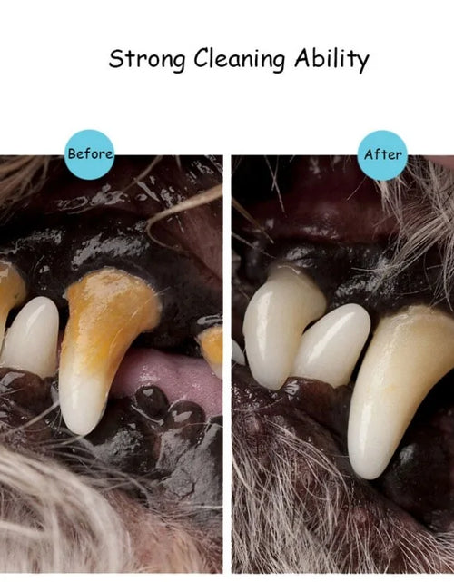 Load image into Gallery viewer, Pets Teeth Cleaning Tool
