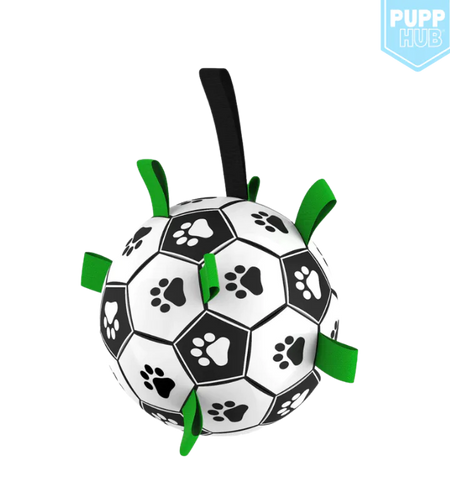 Interactive Dog Football