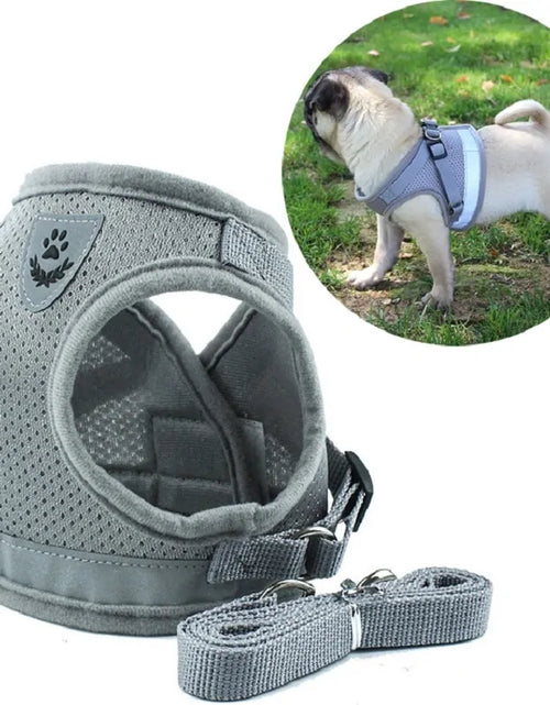 Load image into Gallery viewer, Secure Reflective Harness Set For Small Pets
