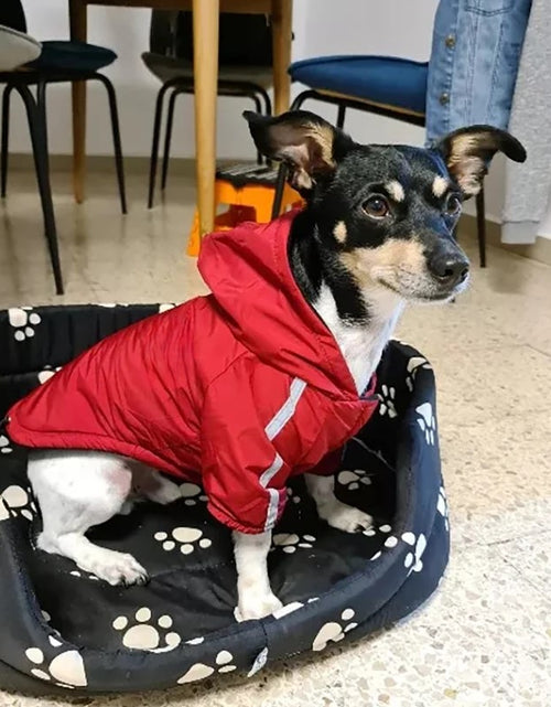 Load image into Gallery viewer, Waterproof Dog Clothes
