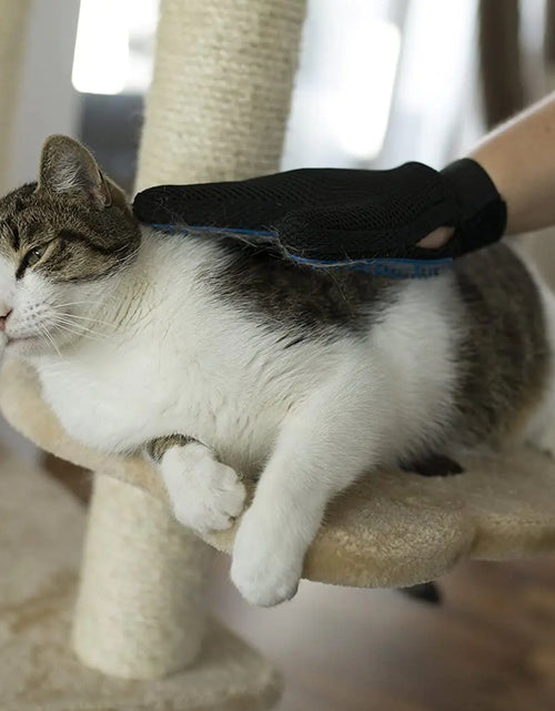 Load image into Gallery viewer, Anti-Hair Grooming Glove for Pets
