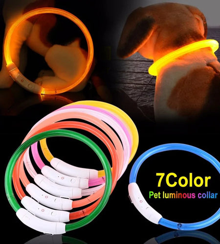 LED Collar Night Safety For Pets