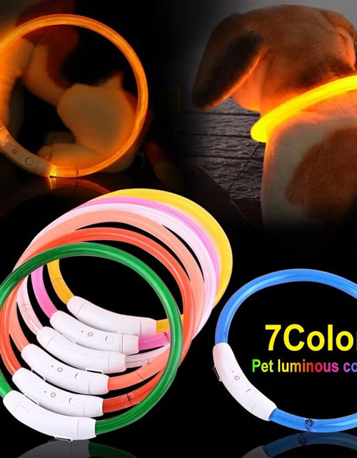 Load image into Gallery viewer, LED Collar Night Safety For Pets
