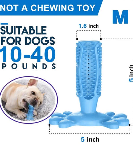 Rubber Dog Chew Toys