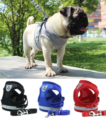 Secure Reflective Harness Set For Small Pets