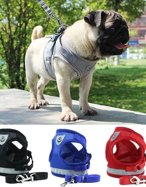 Load image into Gallery viewer, Secure Reflective Harness Set For Small Pets
