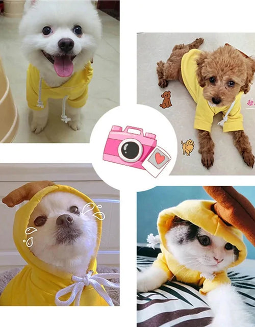 Load image into Gallery viewer, Warm Dog Winter Clothes Cute Fruit Dog

