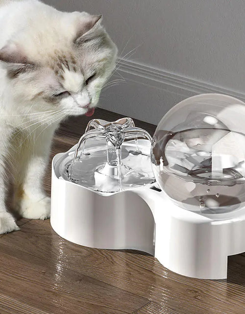 Load image into Gallery viewer, Cats and Dogs Bowl
