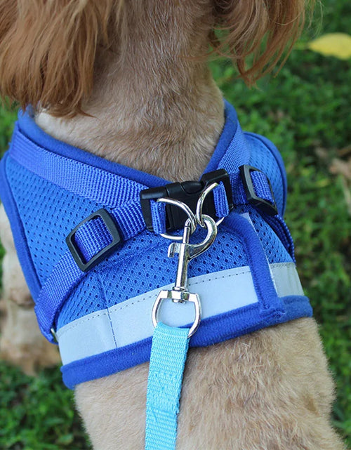 Load image into Gallery viewer, Secure Reflective Harness Set For Small Pets
