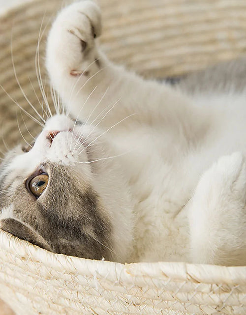 Load image into Gallery viewer, Cat Straw Bed
