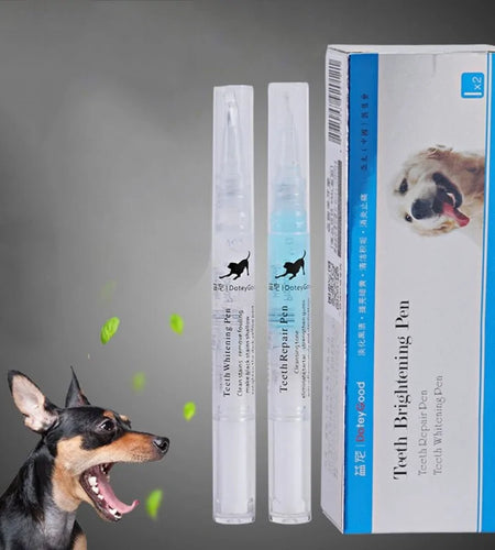 Pets Teeth Cleaning Tool