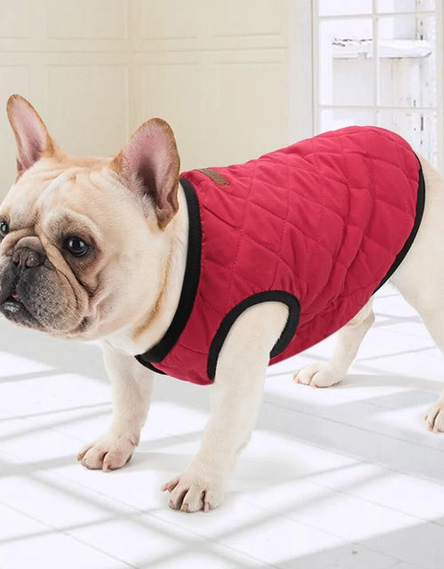 Load image into Gallery viewer, Dog Winter Jacket
