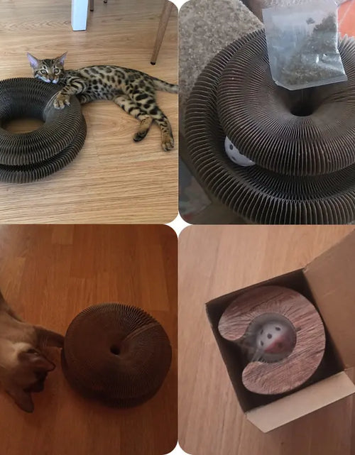 Load image into Gallery viewer, Magic Organ Cats Scratcher Toy
