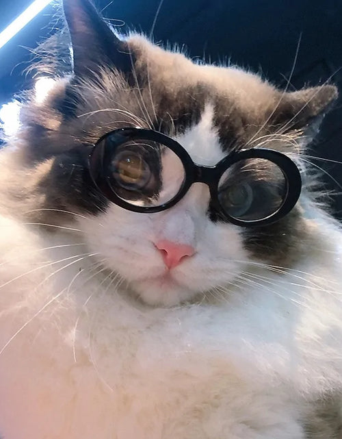 Load image into Gallery viewer, Dog Cat Sunglasses
