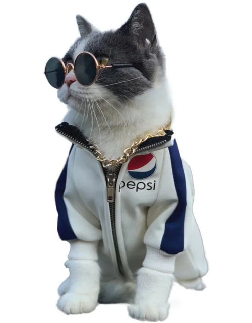 Load image into Gallery viewer, Pet Sunglasses For Cats And Dogs
