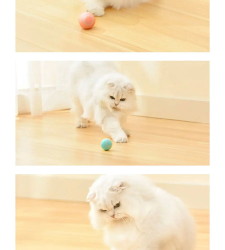 Interactive Magic Ball For Cats