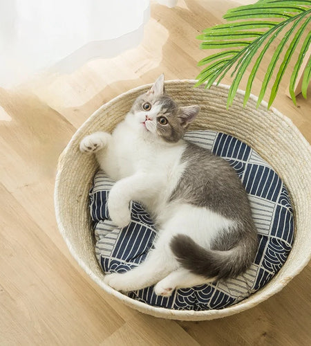 Cat Straw Bed