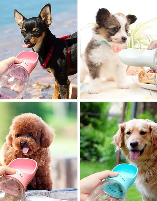 Load image into Gallery viewer, PRIMI PETS™ - Portable Pet Drinking Water Bottle
