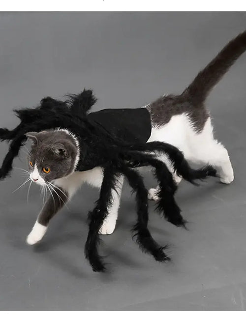 Load image into Gallery viewer, Halloween Spider Costume for Pets
