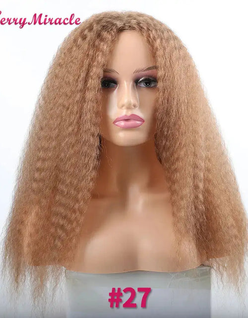 Load image into Gallery viewer, Afro Kinky Curly Hair Wigs
