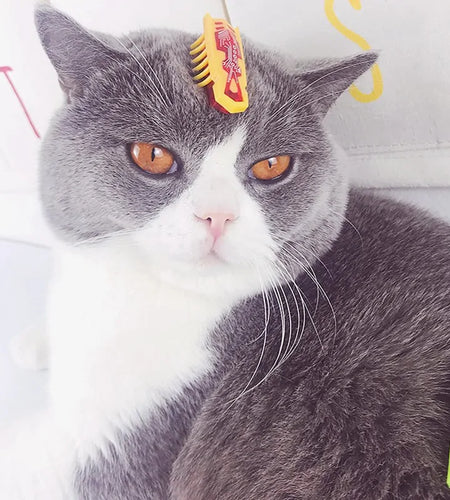 Robotic Bug Toy for Cats