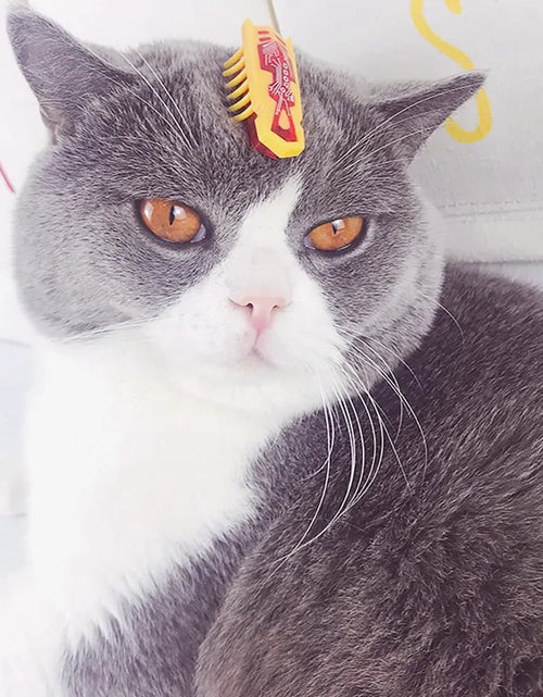 Load image into Gallery viewer, Robotic Bug Toy for Cats
