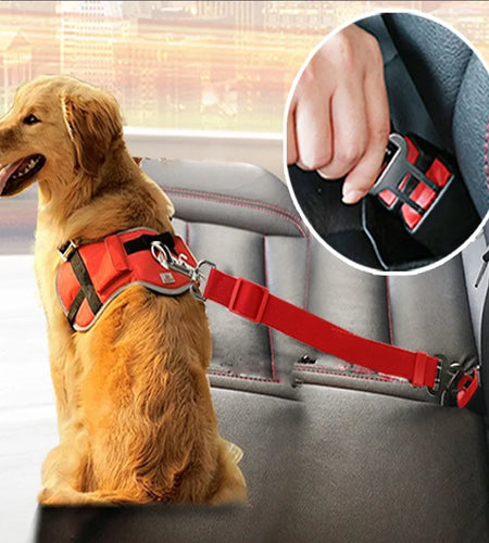 Pet Car Safety Belt Harness: Adjustable Seat Belt for Dogs and Cats