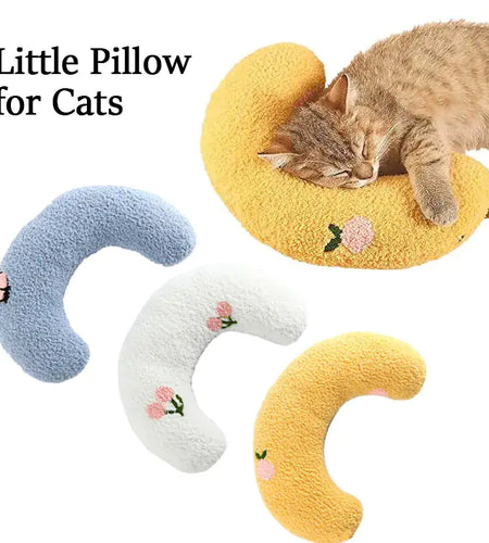 Little Pillow For Cats