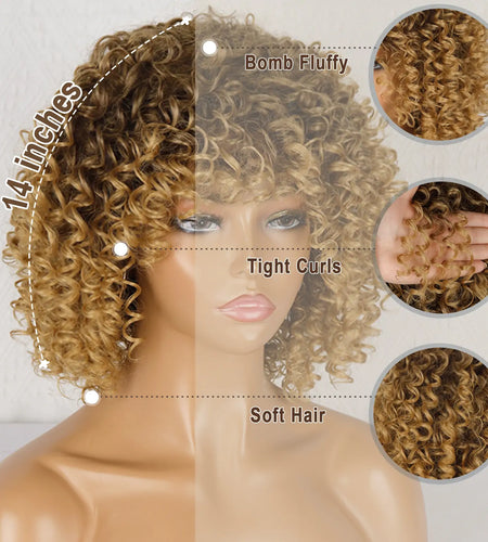 Afro Kinky Curly Wig
