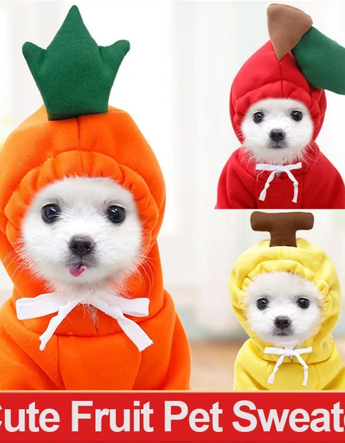 Load image into Gallery viewer, Warm Dog Winter Clothes Cute Fruit Dog
