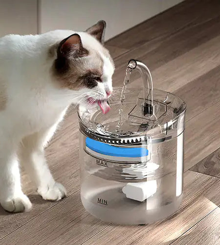Drinking Bowl Auto Drinking Filter for Pets