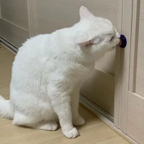Load image into Gallery viewer, Cat Candy Treat
