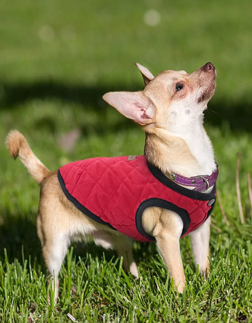 Load image into Gallery viewer, Dog Winter Jacket

