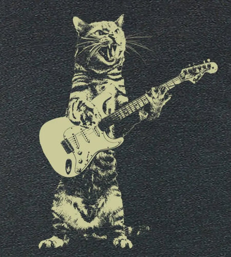 Cat playing guitar