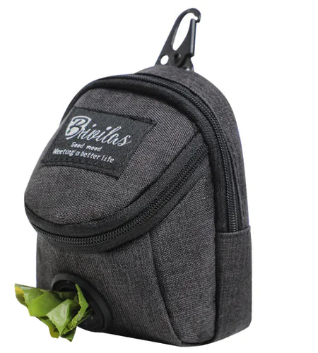 Pet Voyage Fashion Carrier