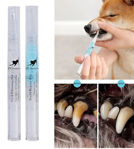 Pets Teeth Cleaning Tool
