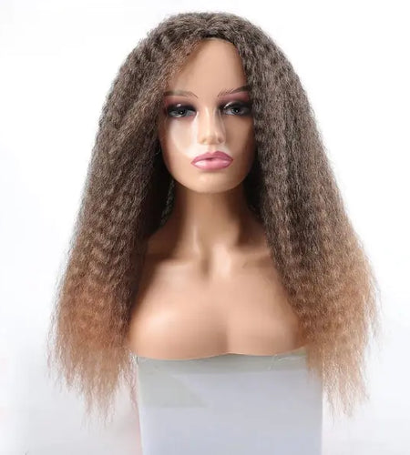Afro Kinky Curly Hair Wigs