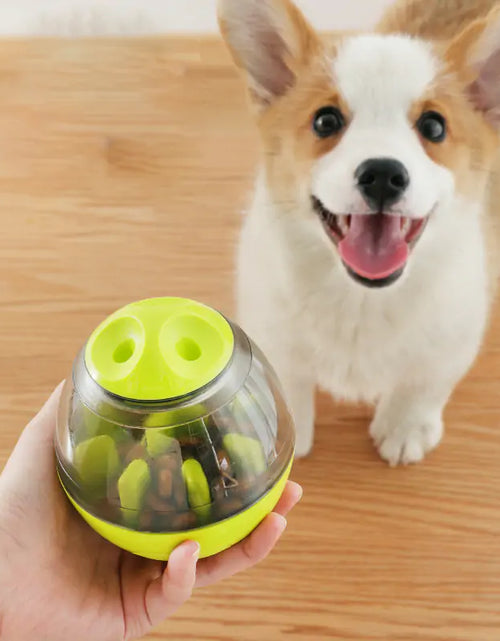 Load image into Gallery viewer, Pets IQ Treat Toys
