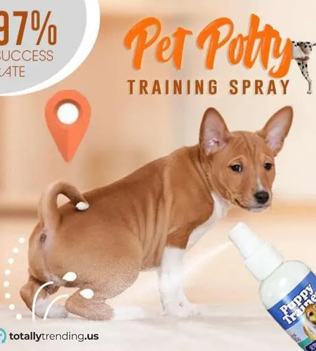 Pet Potty Training Spray