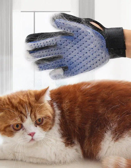 Load image into Gallery viewer, Hair Removal Glove for pets
