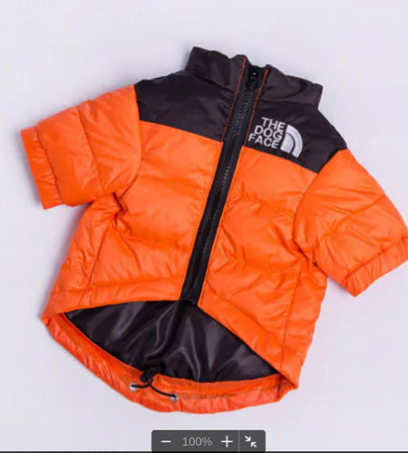 The Dog Fans Winter Dog Jacket