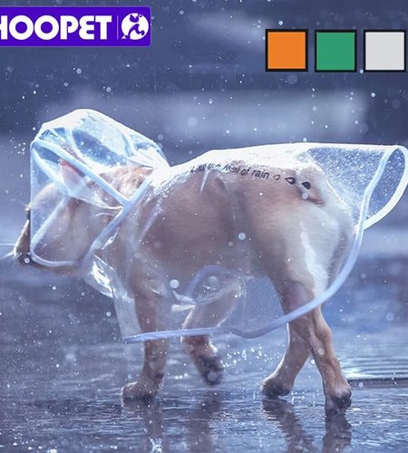 Small Dog Raincoat