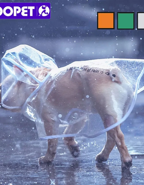Load image into Gallery viewer, Small Dog Raincoat
