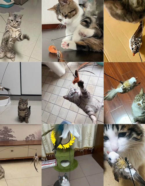 Load image into Gallery viewer, Interactive Toys for Cats
