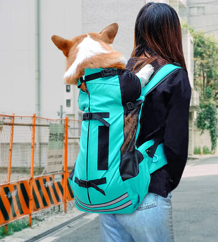 Dog Carrier