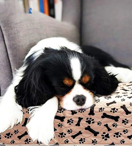 Waterproof Reusable Mats for Pets