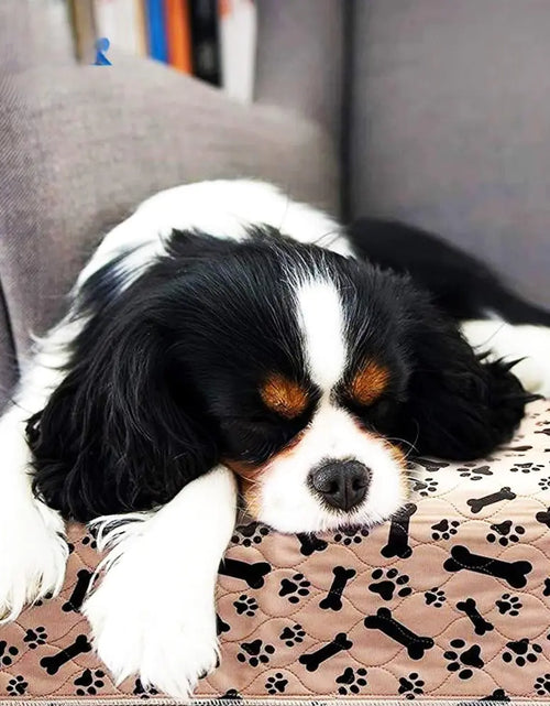 Load image into Gallery viewer, Waterproof Reusable Mats for Pets
