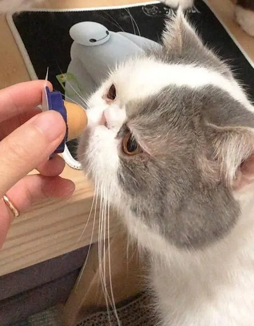 Load image into Gallery viewer, Cat Candy Treat
