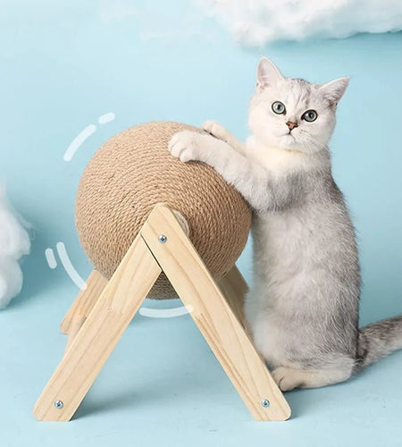 Cat Scratching Ball